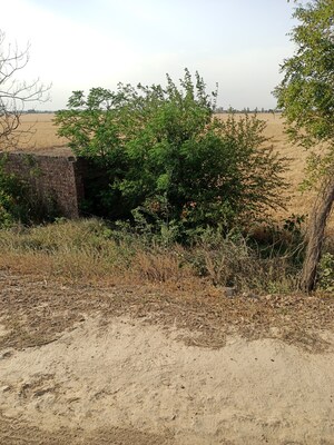  Plot For Sale in Sector 10