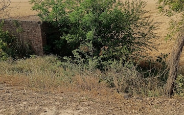 Plot For Sale in Sector 10