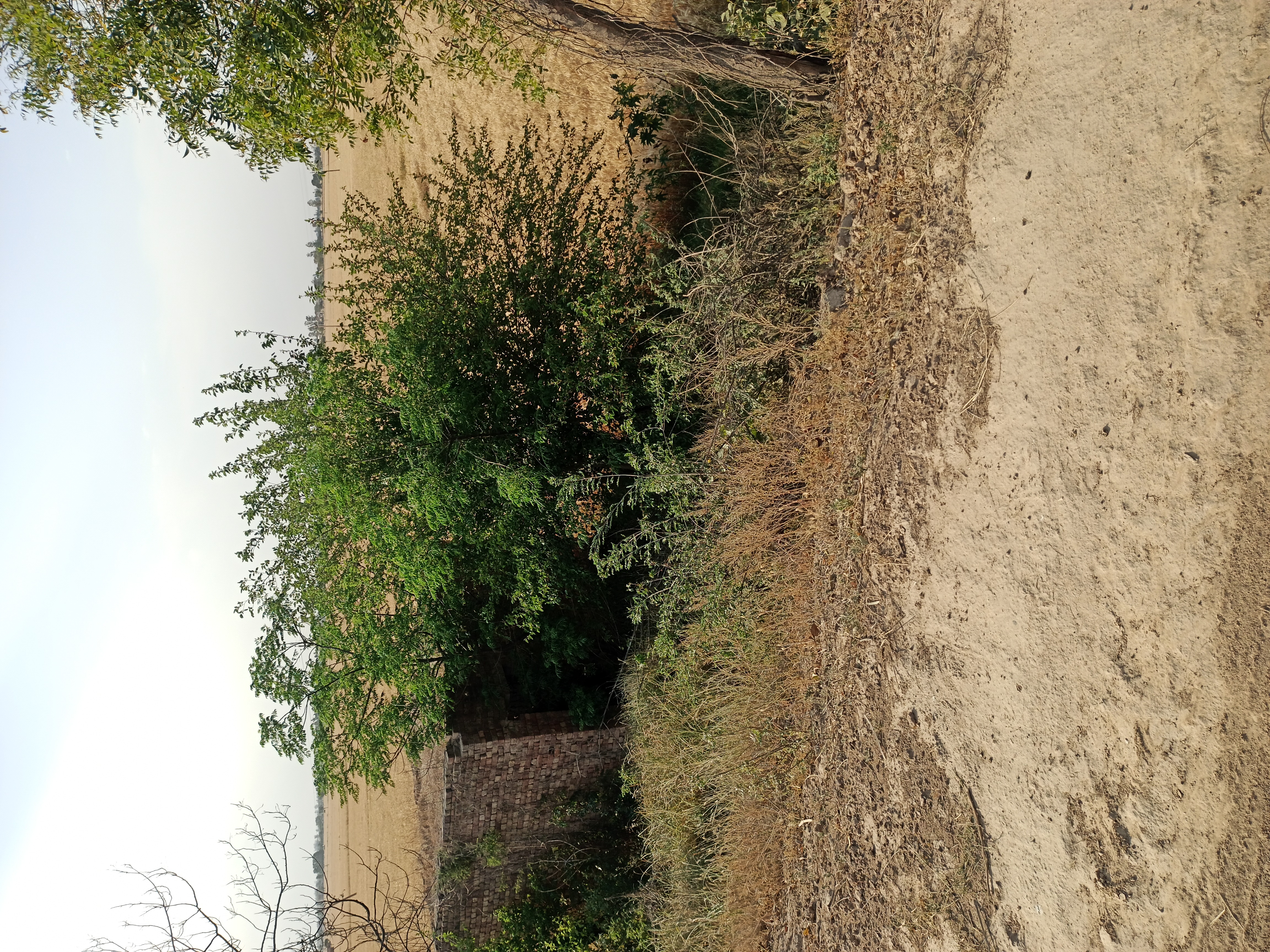 Plot For Sale in Sector 10