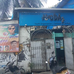 4 BHK Independent House For Sale in Khar West