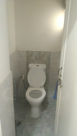 2 BHK Apartment For Rent in Tulip Lemon, Sector 69