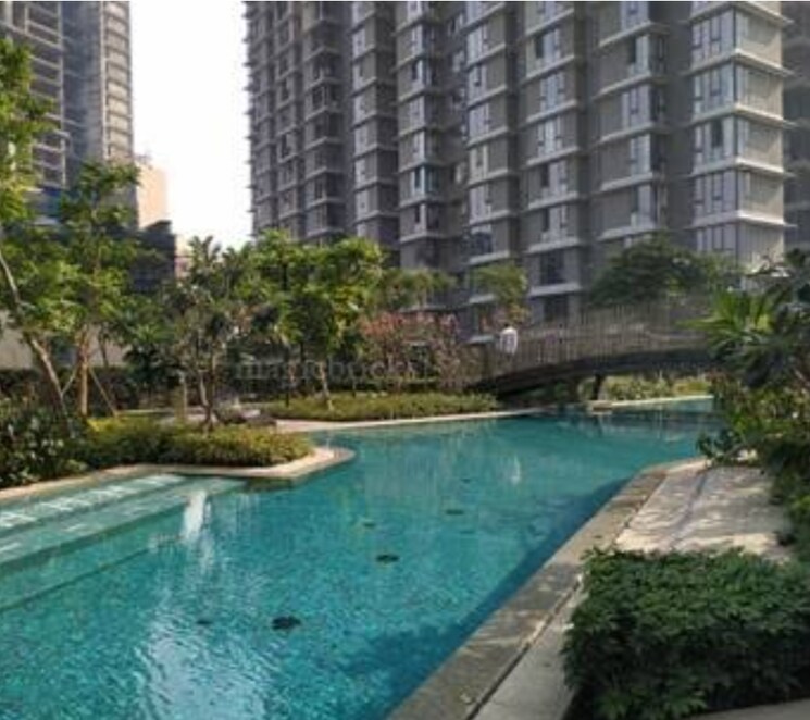 Swimming Pool, lodha-allura 3 Bedroom 1045 Sq.Ft. Apartment In Worli Mumbai 9218148