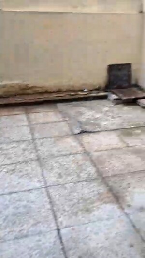 Balcony in 1.5 BHK Builder Floor at Sector 15a – for Rent