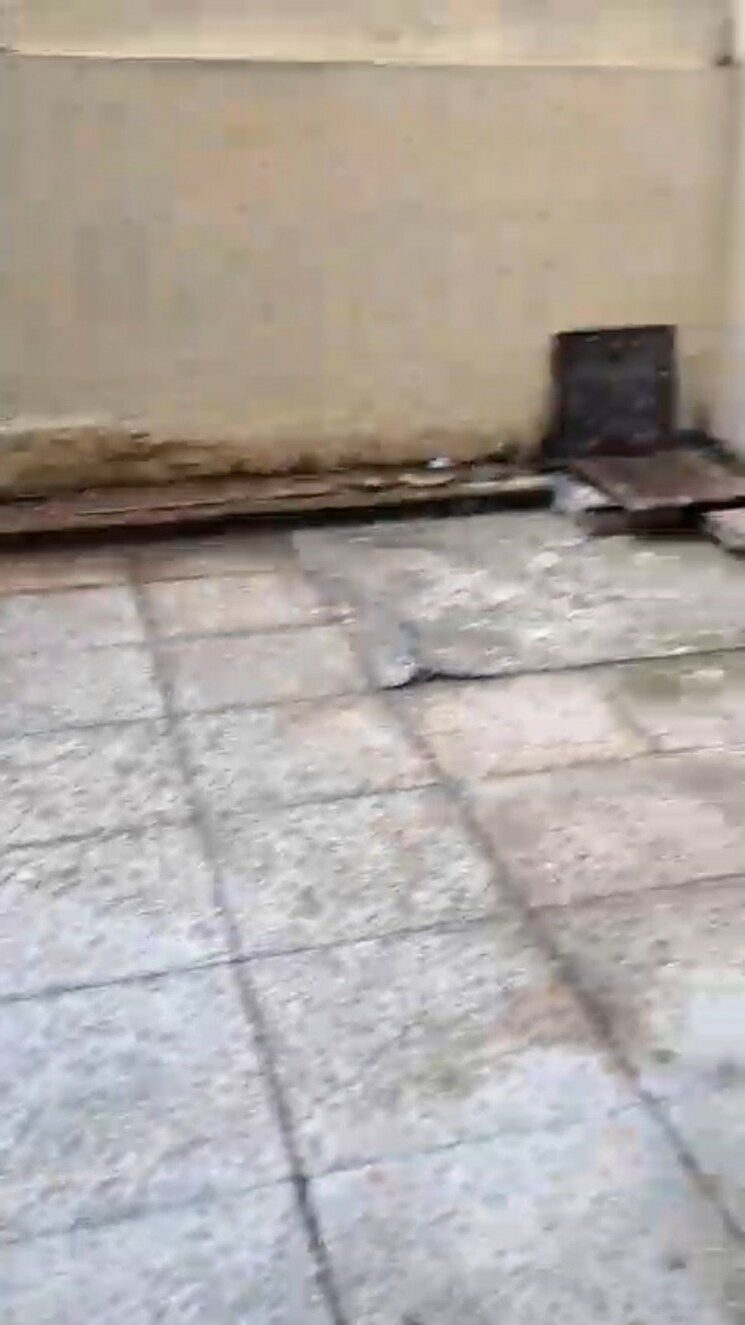 Balcony, sector 15a 1.5 Bedroom 650 Sq.Ft. Builder Floor In Sector 15a Faridabad 9218324