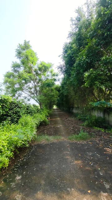  Plot – Garden View at Tappal - for Sale