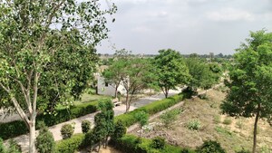  Plot For Sale in Tappal