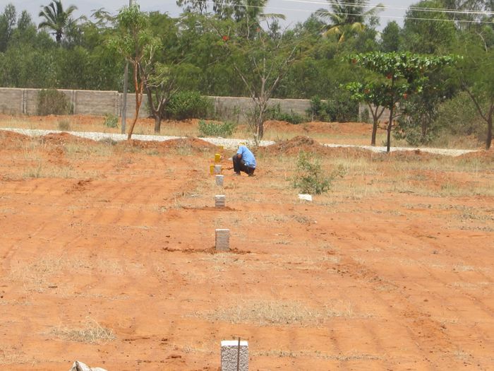 Plot For Sale in Plc Property