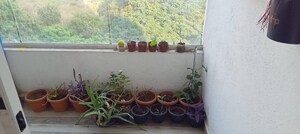 Balcony in 2 BHK Apartment at Saheel ITrend Homes, Hinjewadi – for Rent