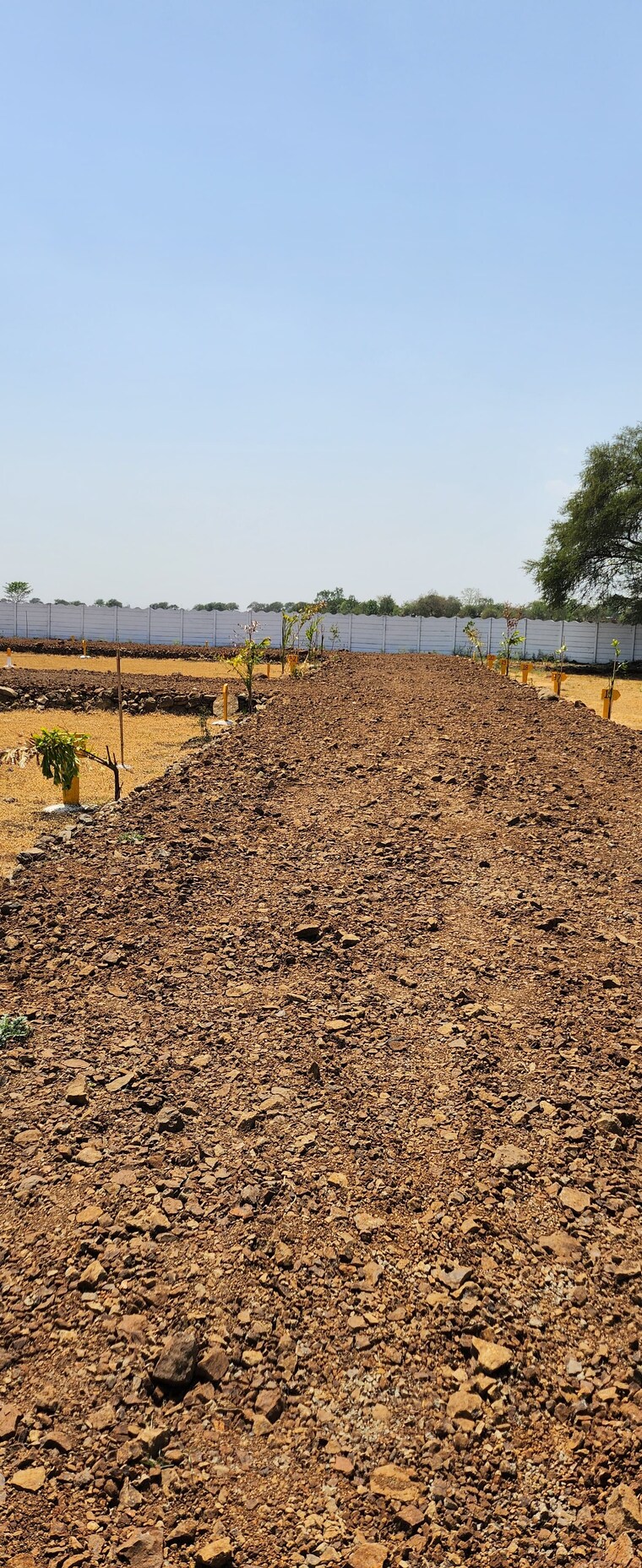 undefined, katangi  1000 Sq.Ft. Plot In Katangi Jabalpur 9218601