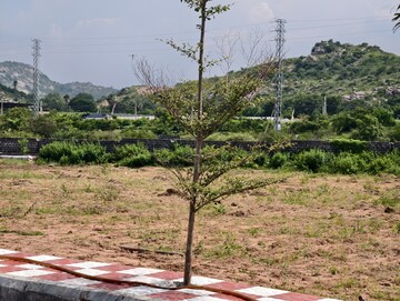  Plot For Sale in Malkapur