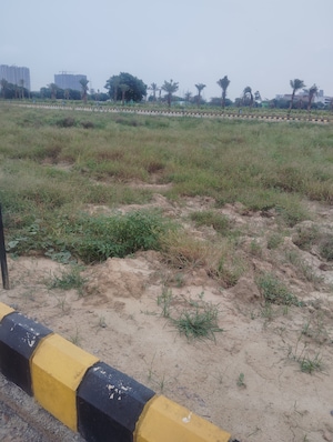  Plot For Sale in Kudal