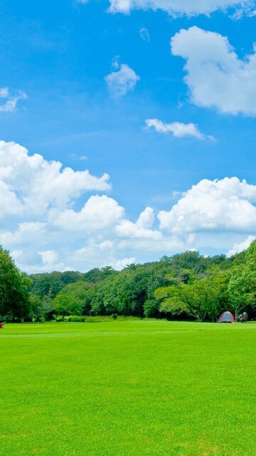  Plot For Sale in Hosur Road