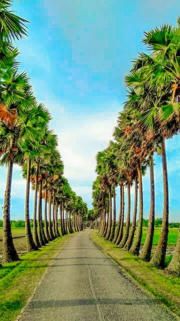  Plot For Sale in Hosur Road