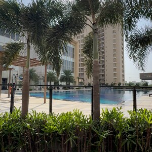 2 BHK Apartment For Rent in BPTP Discovery Park, Badauli Village