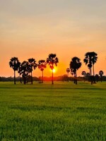 2400 Sq.Ft. Plot in Hosur Road