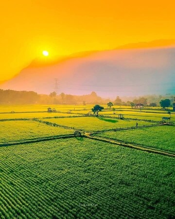  Plot For Sale in Hosur Road