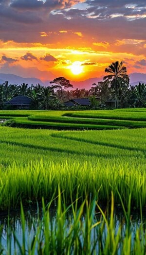  Plot For Sale in Hosur Road