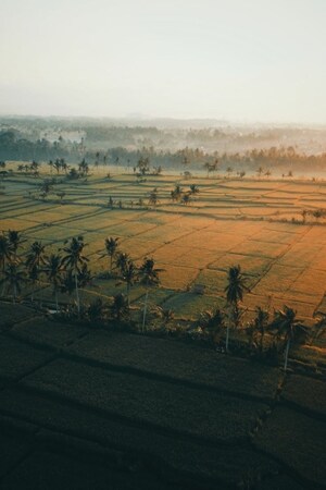 Plot Area in  Plot at Hosur Road – for Sale