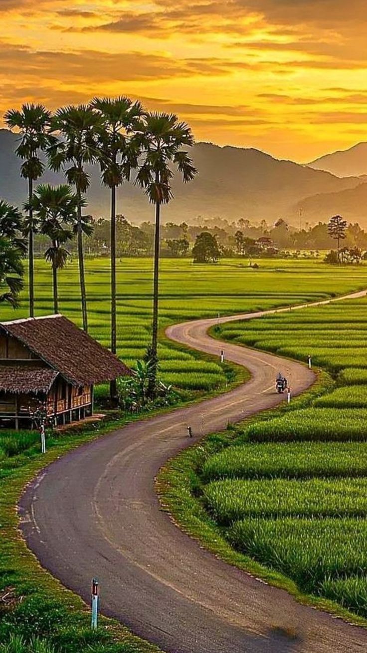 Plot For Sale in Sachin New Farm Land  Wit