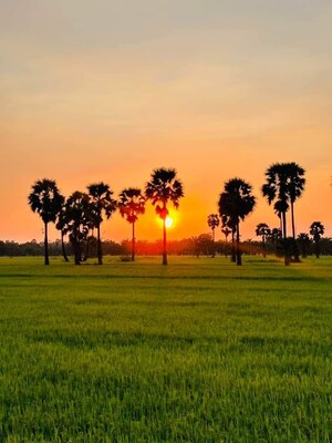  Plot For Sale in Hosur Road