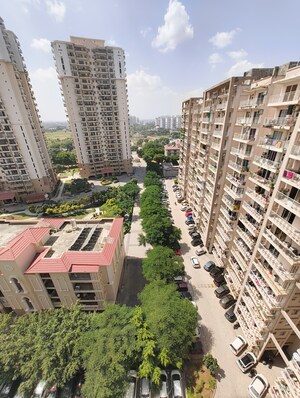 2 BHK Apartment For Sale in Shree Vardhman Green Court, Sector 90