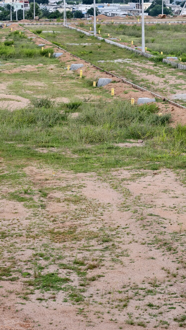 undefined, choutuppal  100 Sq.Yd. Plot In Choutuppal Hyderabad 9219179