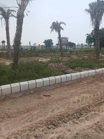  Plot For Sale in Kudal