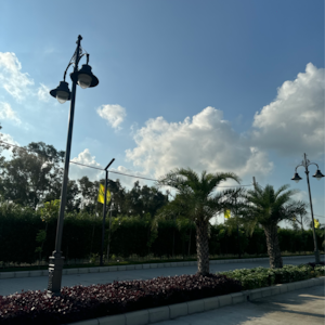  Plot – Garden View at Tdi City - for Sale