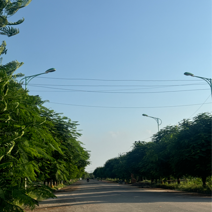 Garden, tdi city  154 Sq.Yd. Plot In Tdi City Panipat 9219255