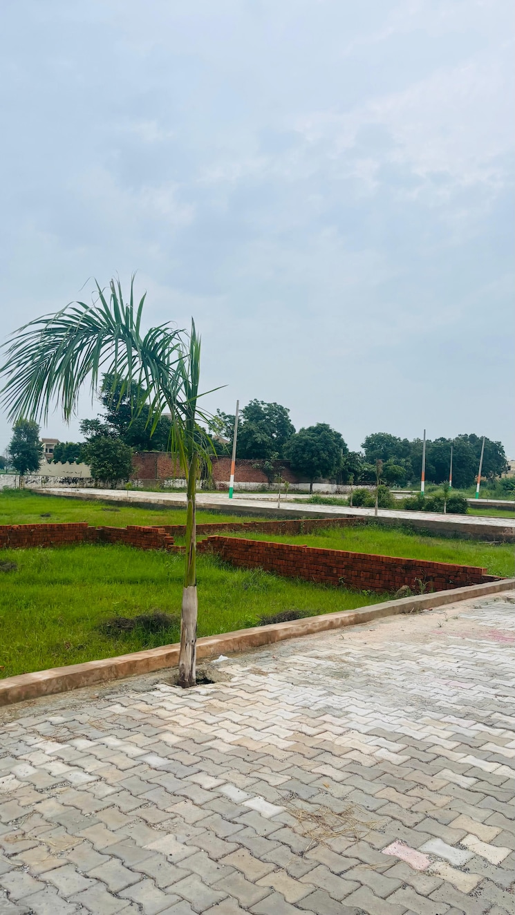Garden, jewar  196 Sq.Yd. Plot In Jewar Greater Noida 9219355