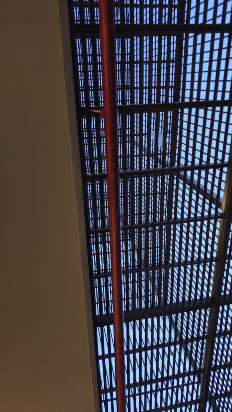 Exterior View, sector 40 4 Bedroom 2367 Sq.Ft. Builder Floor In Sector 40 Gurgaon 9219380