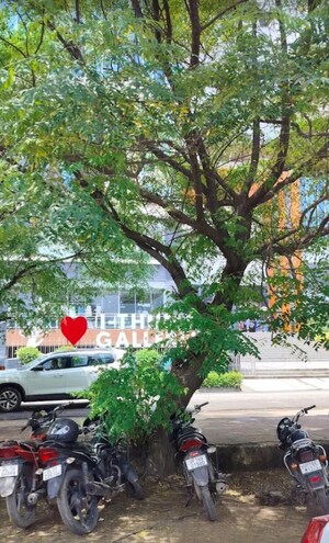  Shop – Garden View at Adihm Ithums Galleria, Alpha Ii Greater Noida - for Sale