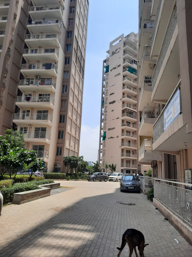 Exterior View, signature-global-proxima 2 Bedroom 685 Sq.Ft. Apartment In Sector 89 Gurgaon 9219461