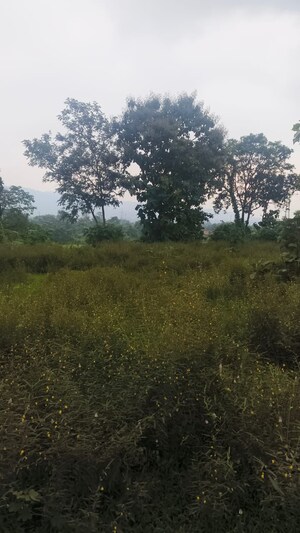  Land For Sale in Navi Mumbai Plots, Uran