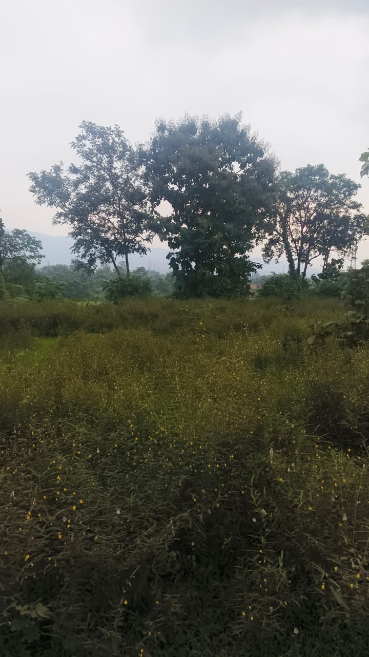 Land For Sale in Navi Mumbai Plots