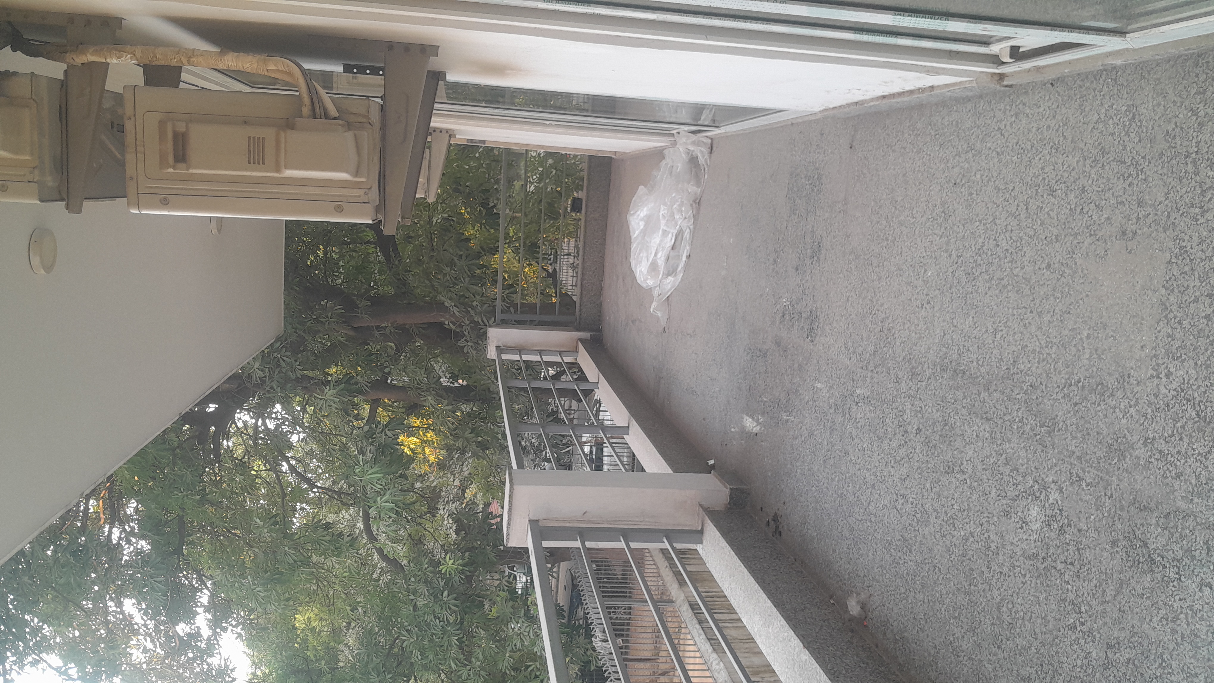 3 BHK + Pooja Room Builder Floor For Rent in Unitech South City II