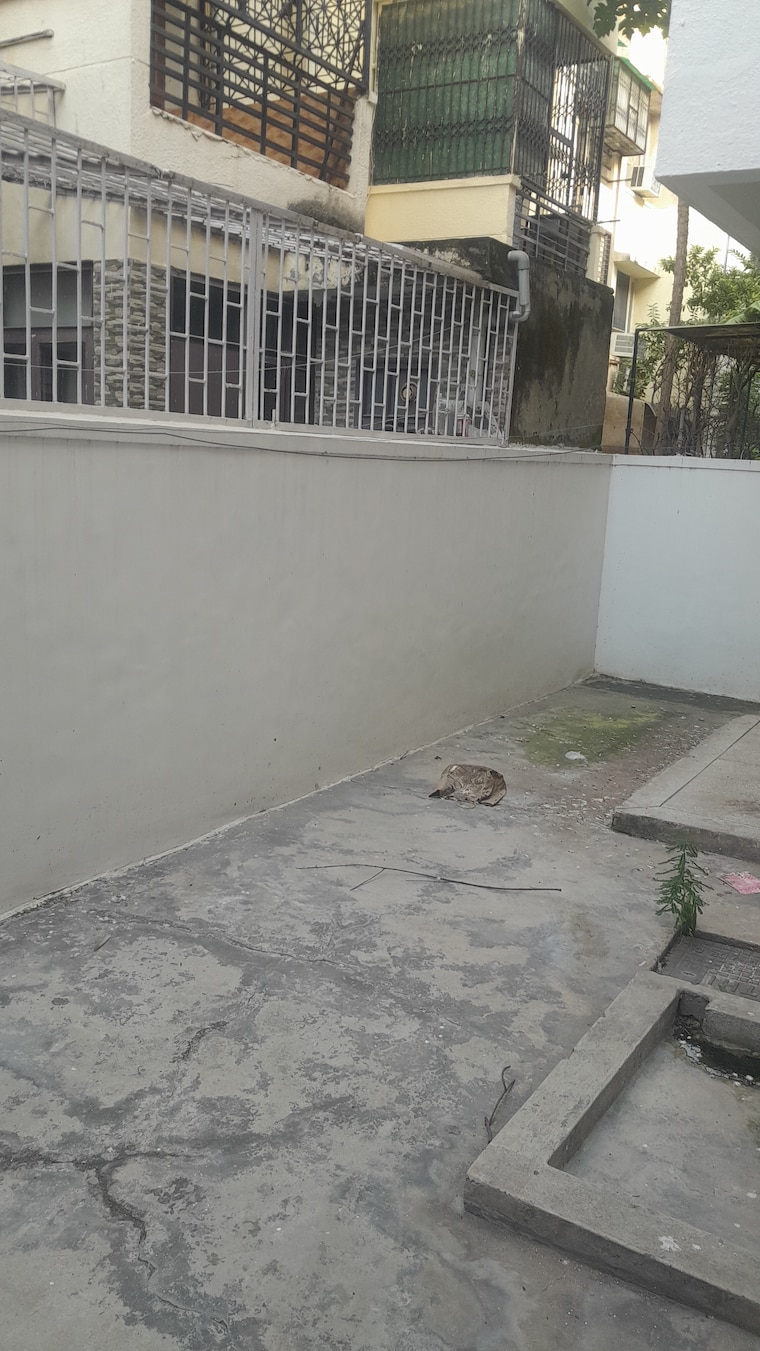 Balcony, unitech-south-city-ii 3 Bedroom 1520 Sq.Ft. Builder Floor In Sector 50 Gurgaon 9219693