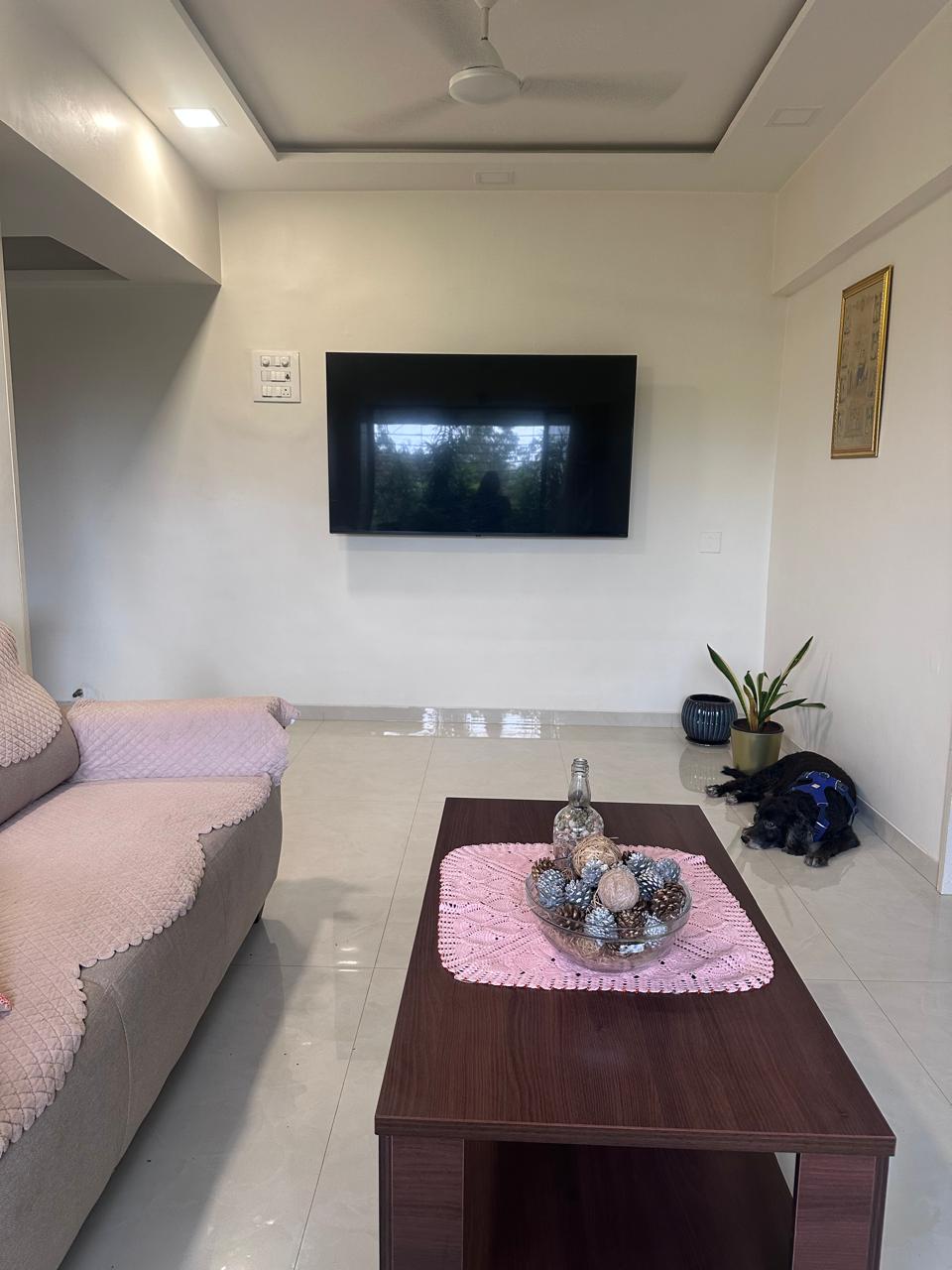 2 BHK Apartment For Rent in Vardhman Estate