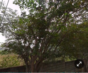 Plot Area in  Plot at Aecs Layout – for Sale