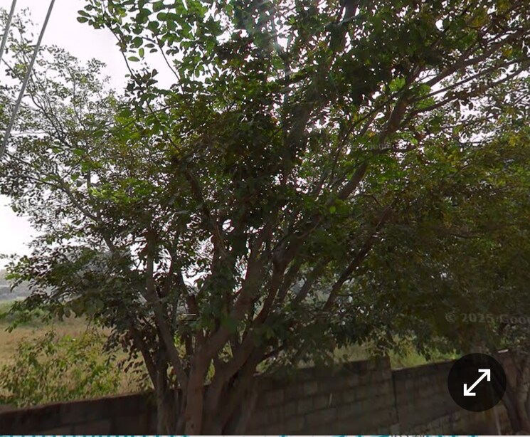 undefined, aecs layout  27225 Sq.Ft. Plot In Aecs Layout Bangalore 9219853