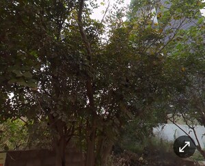  Plot – Garden View at Aecs Layout - for Sale