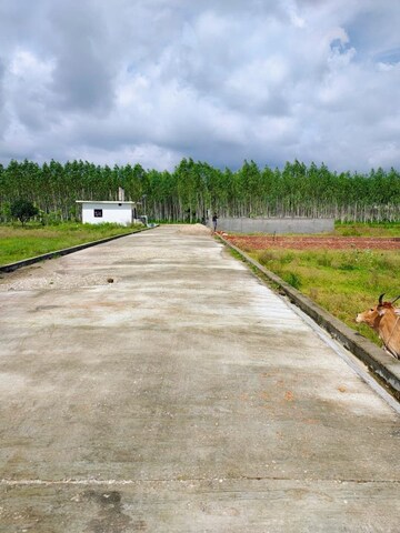 Plot Area in  Plot at Shimla Bypass Road – for Sale
