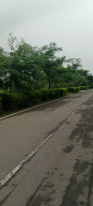 Plot Area in  Plot at SVN Future Home, Renwal Manji – for Sale