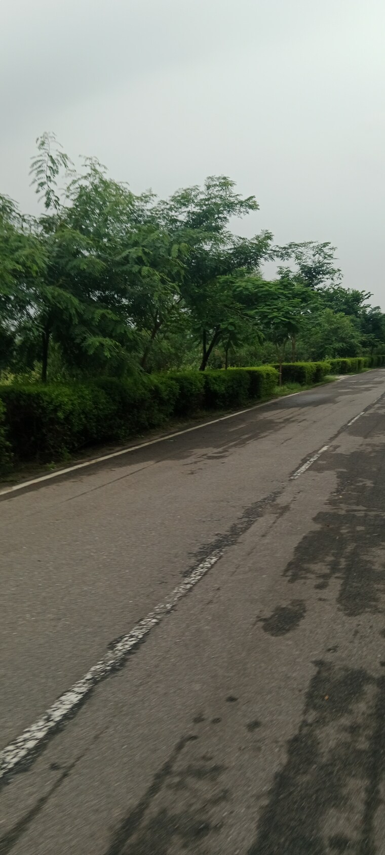 undefined, svn-future-home  700 Sq.Yd. Plot In Renwal Manji Jaipur 9219928