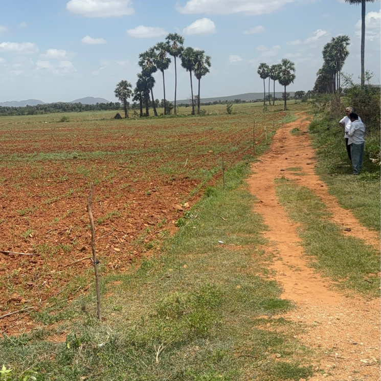 undefined, vinchipeta Commercial Land 15 Acre In Vinchipeta Vijayawada 9219985