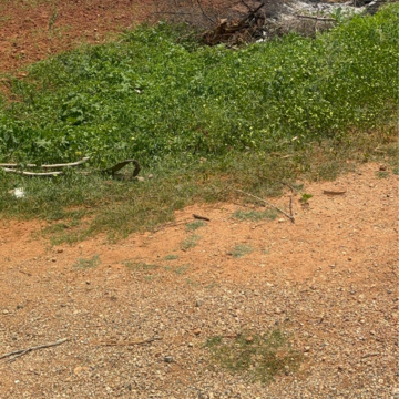 Plot Area in  Land at Vijayawada One Town – for Sale