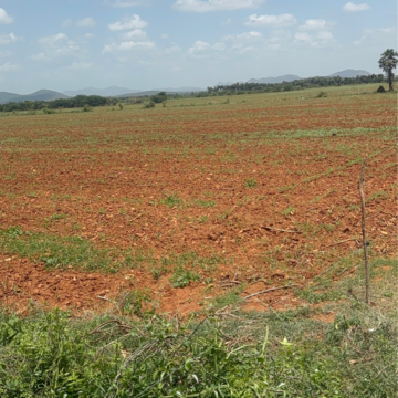 Plot Area in  Land at Vijayawada One Town – for Sale