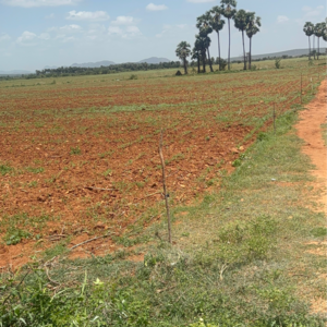 Plot Area in  Land at Vijayawada One Town – for Sale