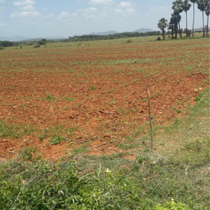 Plot Area in  Land at Vijayawada One Town – for Sale