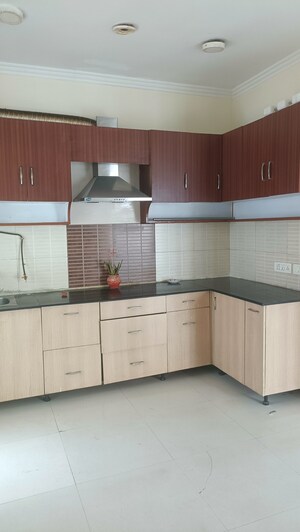 Kitchen in 3 BHK Apartment at Amrapali Crystal Homes, Sector 76 – for Sale